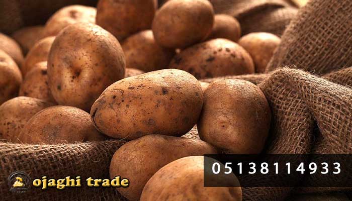 شرکت صادراتی سیب زمینی به ازبکستان