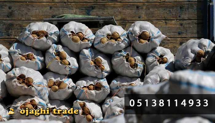 صادرات سیب زمینی به ازبکستان