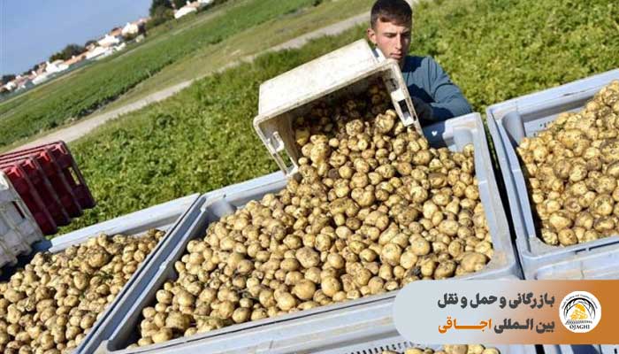 صادرات سیب زمینی از همدان به پاکستان